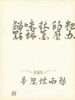 猫咪拉的粑粑有点稀怎么办