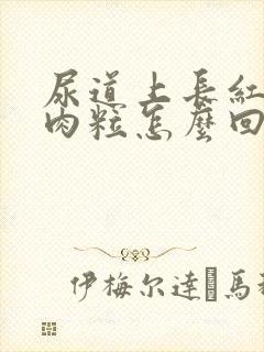 尿道上长红色小肉粒怎么回事