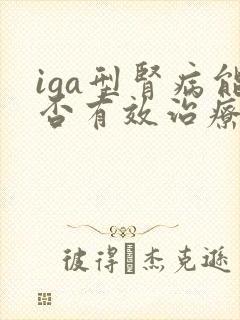 iga型肾病能否有效治疗