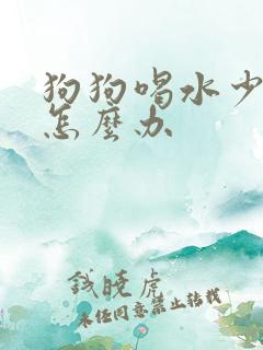 狗狗喝水少尿黄怎么办