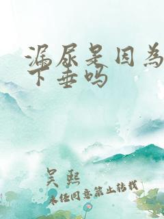 漏尿是因为子宫下垂吗