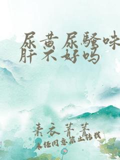 尿黄尿骚味重是肝不好吗