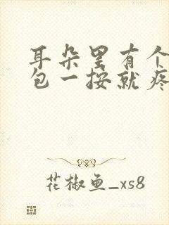 耳朵里有个小鼓包一按就疼