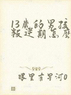 13岁的男孩子叛逆期怎么教育