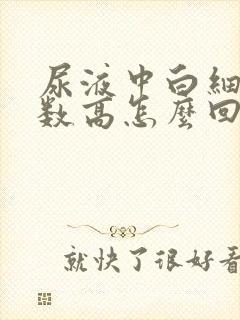 尿液中白细胞计数高怎么回事