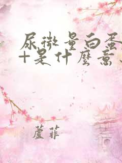 尿微量白蛋白1+是什么意思