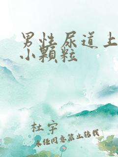 男性尿道上出现小颗粒