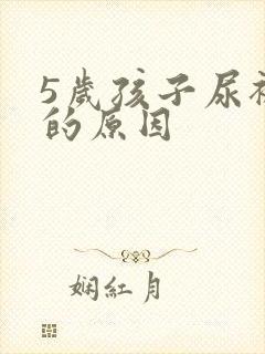 5岁孩子尿裤子的原因