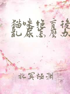 猫咪绝育后还是乱尿怎么办