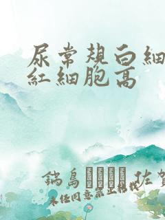 尿常规白细胞和红细胞高