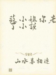 苏小姐你老公掉了小说