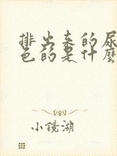 排出来的尿是红色的是什么原因