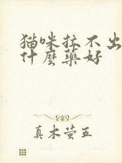 猫咪拉不出尿吃什么药好