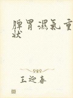 脾胃湿气重的症状