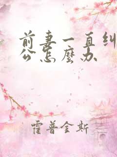 前妻一直纠缠老公怎么办