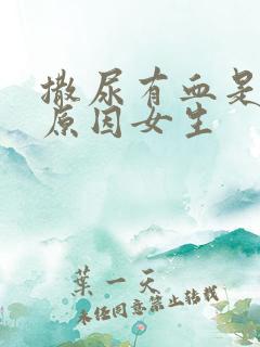 撒尿有血是什么原因女生