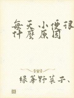 每天小便很少是什么原因