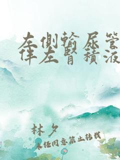 左侧输尿管结石伴左肾积液