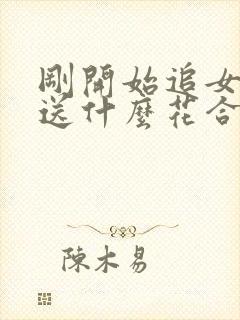 刚开始追女孩子送什么花合适