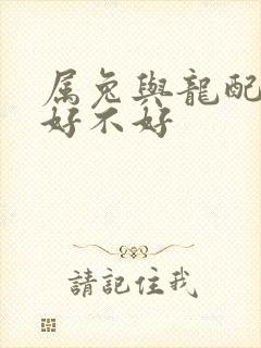 属兔与龙配婚姻好不好