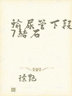 输尿管下段0.7结石