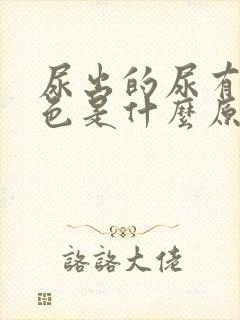 尿出的尿有点红色是什么原因