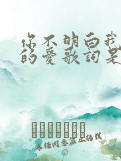 你不明白我对你的爱歌词是什么歌