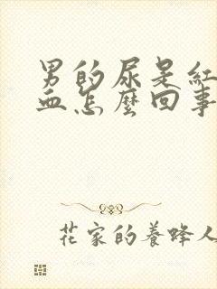 男的尿是红色的血怎么回事