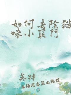 如何去除猫尿骚味小窍门