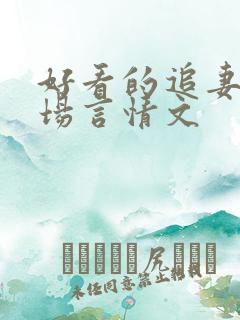 好看的追妻火葬场言情文