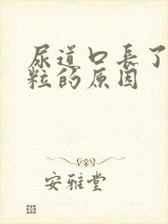 尿道口长了小肉粒的原因