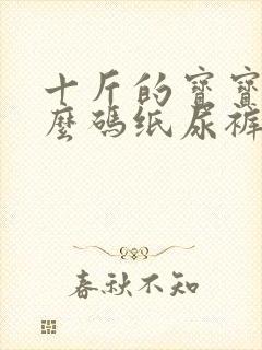 十斤的宝宝用什么码纸尿裤