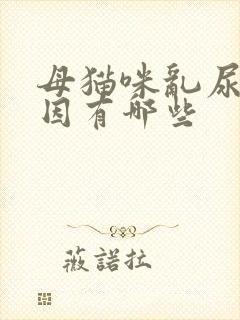 母猫咪乱尿的原因有哪些