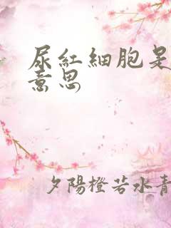 尿红细胞是什么意思