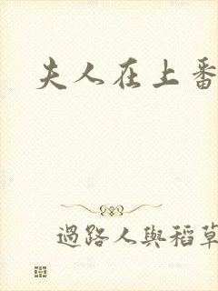 夫人在上番外篇