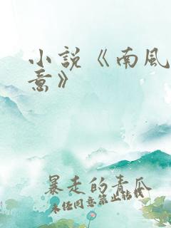 小说《南风知我意》