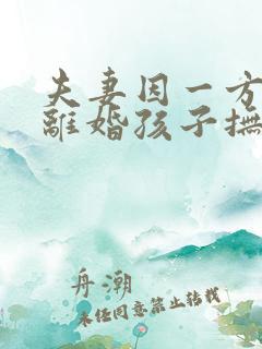 夫妻因一方出轨离婚孩子抚养权怎么判定