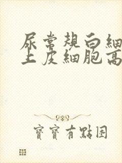 尿常规白细胞和上皮细胞高