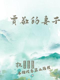 贾敬的妻子是谁