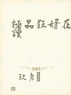 极品狂婿在线阅读