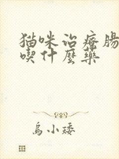 猫咪治疗肠胃炎吃什么药