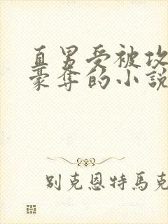 直男受被攻强取豪夺的小说