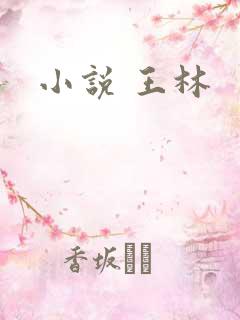 小说 王林