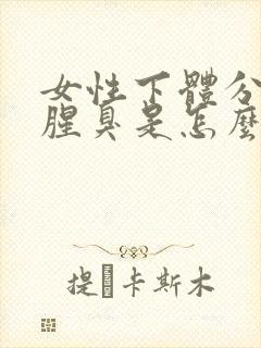 女性下体分泌物腥臭是怎么回事啊