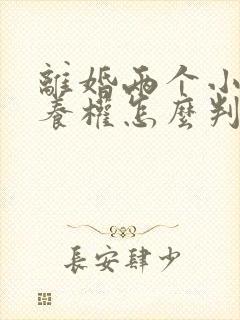 离婚两个小孩抚养权怎么判定