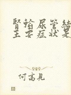 肾输尿管结石的主要症状是