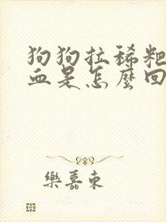 狗狗拉稀粑粑带血是怎么回事