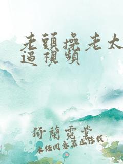 老头操老太太的逼视频