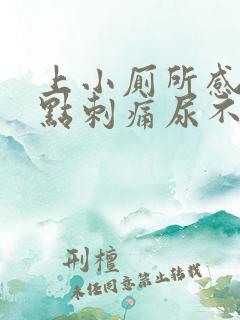 上小厕所感觉有点刺痛尿不尽