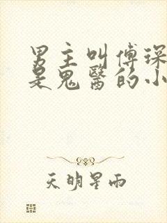 男主叫傅琛女主是鬼医的小说